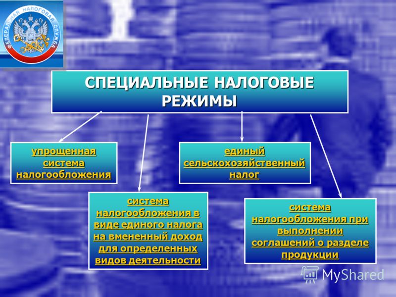 Оренбургский бизнес выбирает налоговые спецрежимы